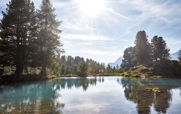 Top 6 (Panorama) - Photo 29