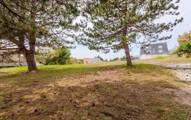 Résidence Aloha - Photo 10