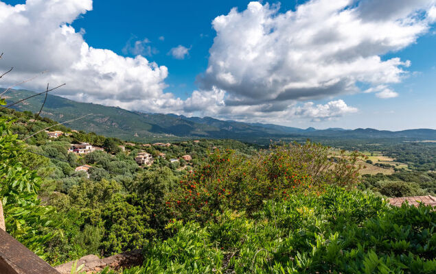 Villa Casaben - Photo 31