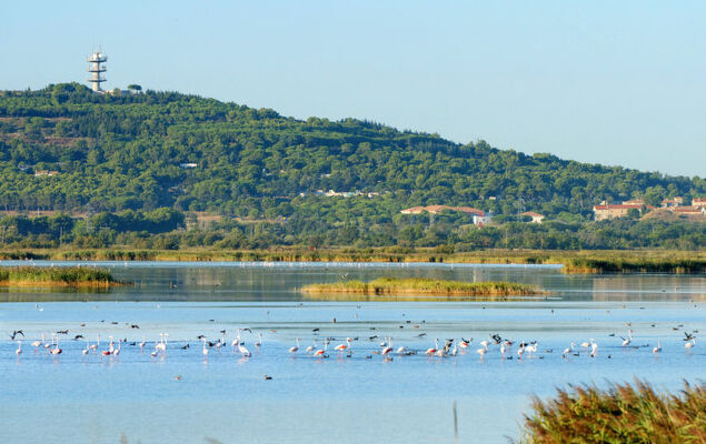 Les Agathes Plus - Photo 24