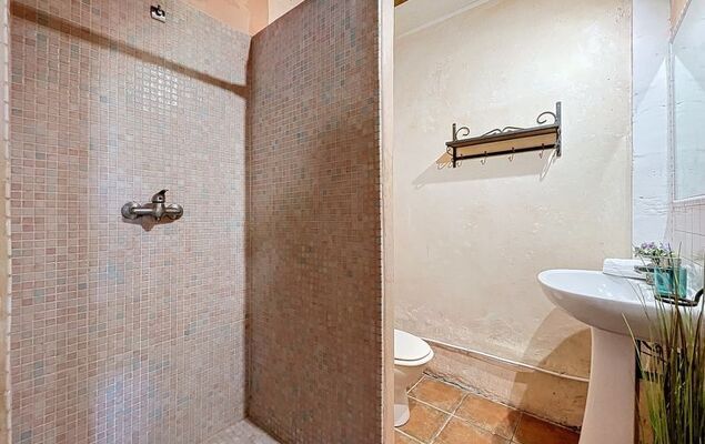 Mas st Germain - Photo 62